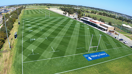 NRL oval